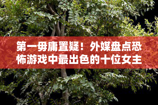 第一毋庸置疑！外媒盘点恐怖游戏中最出色的十位女主