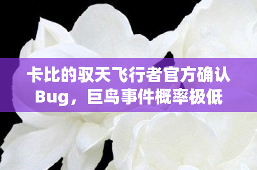 卡比的驭天飞行者官方确认Bug，巨鸟事件概率极低