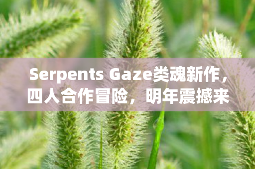 Serpents Gaze类魂新作，四人合作冒险，明年震撼来袭！