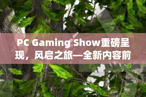PC Gaming Show重磅呈现，风启之旅—全新内容前瞻！最受期待的热门游戏盛会即将开启！