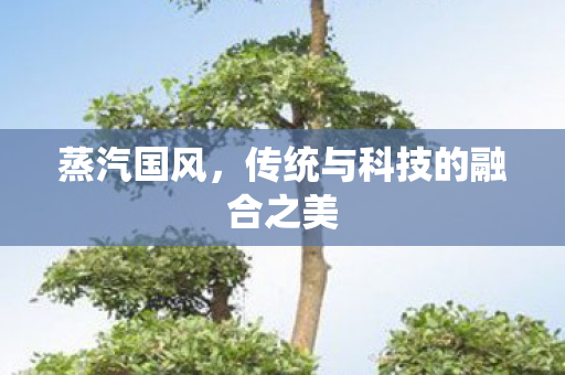 蒸汽国风，传统与科技的融合之美