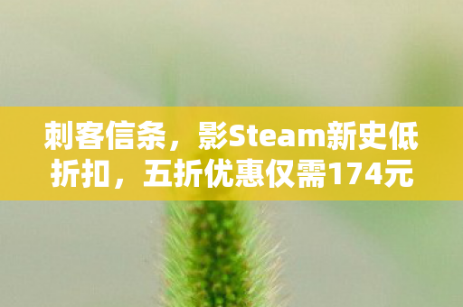 刺客信条，影Steam新史低折扣，五折优惠仅需174元！