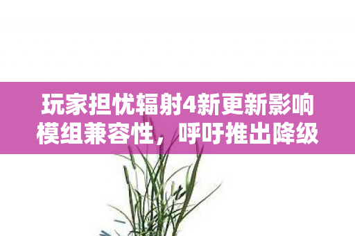 玩家担忧辐射4新更新影响模组兼容性，呼吁推出降级措施