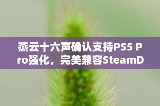 燕云十六声确认支持PS5 Pro强化，完美兼容SteamDeck掌机
