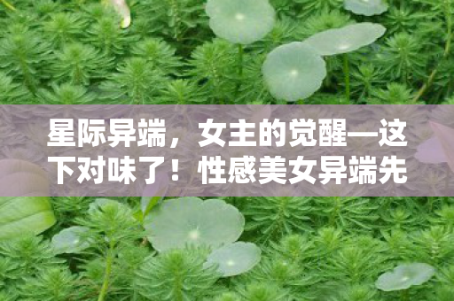 星际异端，女主的觉醒—这下对味了！性感美女异端先知惊艳登场