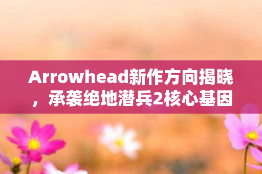 Arrowhead新作方向揭晓，承袭绝地潜兵2核心基因，展望全新篇章