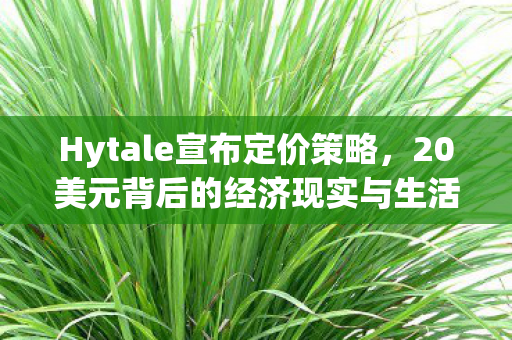 Hytale宣布定价策略，20美元背后的经济现实与生活挑战