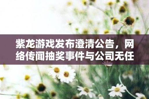 紫龙游戏发布澄清公告，网络传闻抽奖事件与公司无任何关联