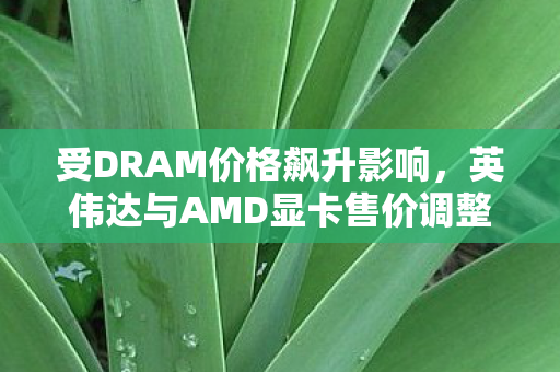 受DRAM价格飙升影响，英伟达与AMD显卡售价调整策略