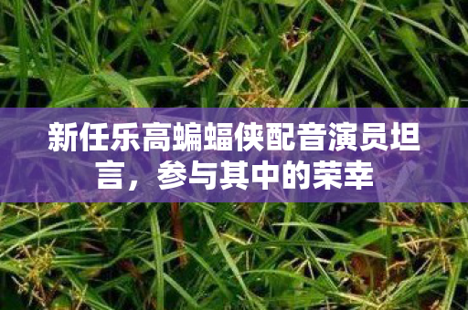 新任乐高蝙蝠侠配音演员坦言，参与其中的荣幸