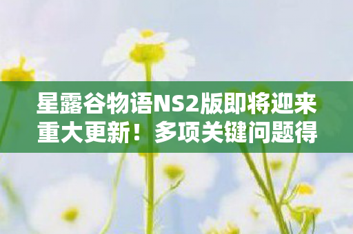 星露谷物语NS2版即将迎来重大更新！多项关键问题得到修复