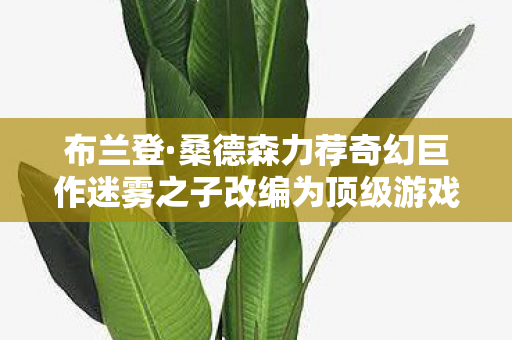布兰登·桑德森力荐奇幻巨作迷雾之子改编为顶级游戏