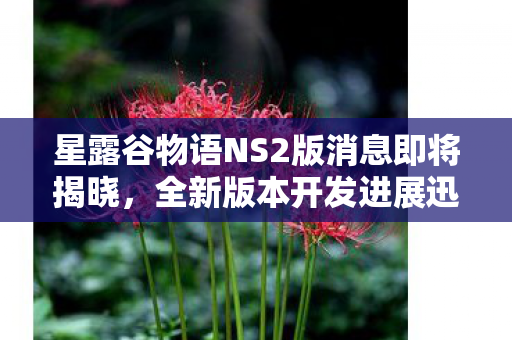 星露谷物语NS2版消息即将揭晓，全新版本开发进展迅速！