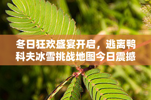 冬日狂欢盛宴开启，逃离鸭科夫冰雪挑战地图今日震撼上线！