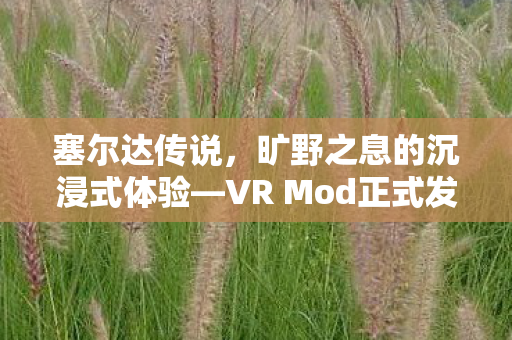 塞尔达传说，旷野之息的沉浸式体验—VR Mod正式发布