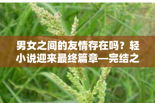 男女之间的友情存在吗？轻小说迎来最终篇章—完结之际的深思