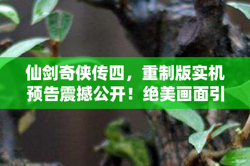 仙剑奇侠传四，重制版实机预告震撼公开！绝美画面引发期待热潮