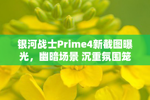 银河战士Prime4新截图曝光，幽暗场景 沉重氛围笼罩