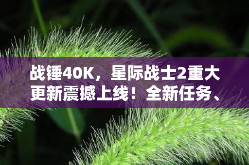 战锤40K，星际战士2重大更新震撼上线！全新任务、新武器等你来挑战