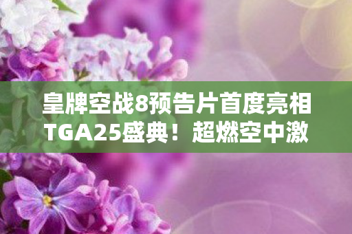 皇牌空战8预告片首度亮相TGA25盛典！超燃空中激战震撼人心！
