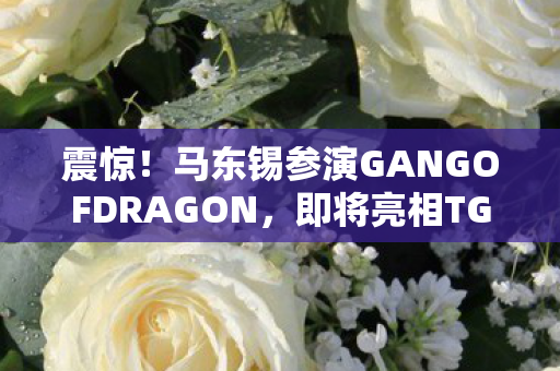 震惊！马东锡参演GANGOFDRAGON，即将亮相TGA盛会
