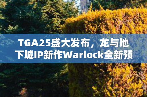 TGA25盛大发布，龙与地下城IP新作Warlock全新预告震撼亮相