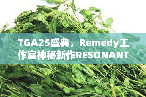 TGA25盛典，Remedy工作室神秘新作RESONANT首曝预告震撼登场