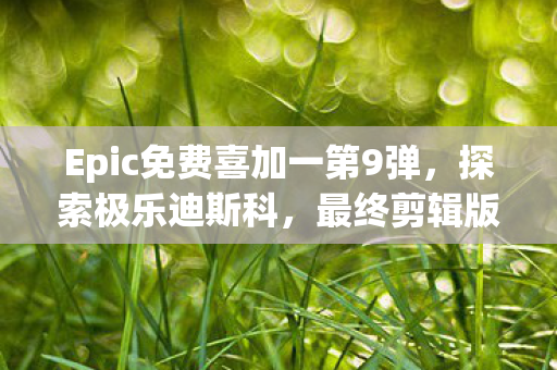 Epic免费喜加一第9弹，探索极乐迪斯科，最终剪辑版的魅力