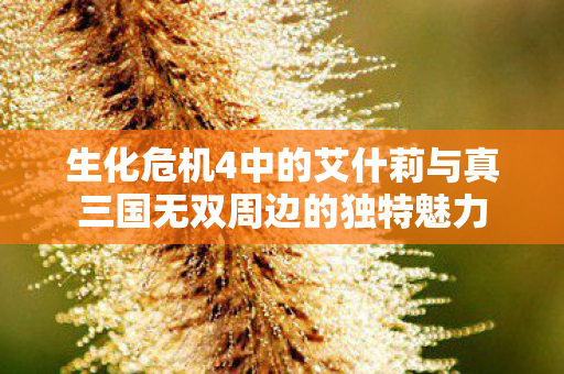 生化危机4中的艾什莉与真三国无双周边的独特魅力