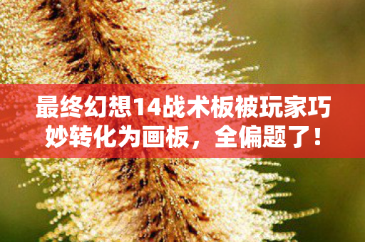 最终幻想14战术板被玩家巧妙转化为画板，全偏题了！