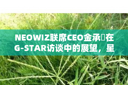 NEOWIZ联席CEO金承徹在G-STAR访谈中的展望，星辰大海是我们的目标