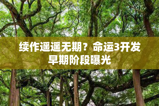 续作遥遥无期？命运3开发早期阶段曝光