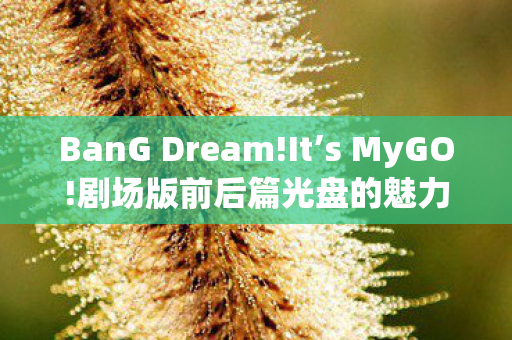 BanG Dream!It’s MyGO!剧场版前后篇光盘的魅力与珍藏价值