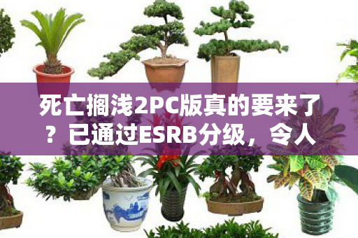 死亡搁浅2PC版真的要来了？已通过ESRB分级，令人期待！