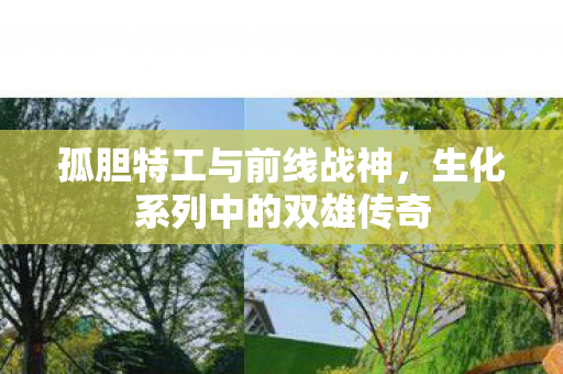 孤胆特工与前线战神，生化系列中的双雄传奇
