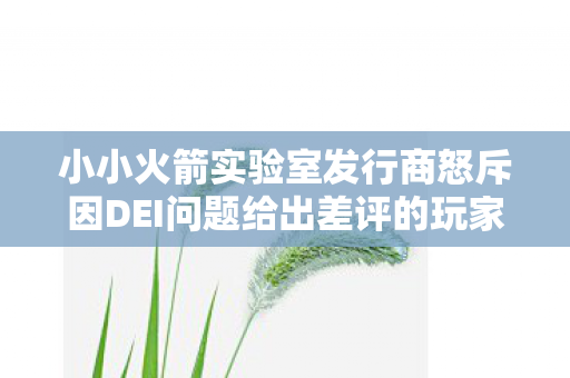 小小火箭实验室发行商怒斥因DEI问题给出差评的玩家，你不配玩这款游戏！