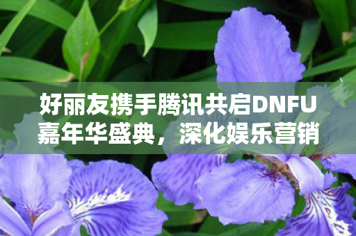 好丽友携手腾讯共启DNFU嘉年华盛典，深化娱乐营销新场景的探索与实践