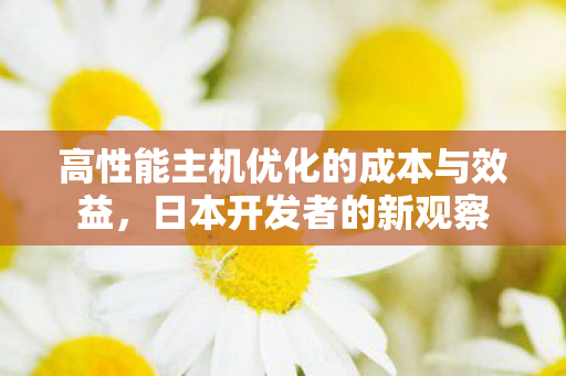 高性能主机优化的成本与效益，日本开发者的新观察
