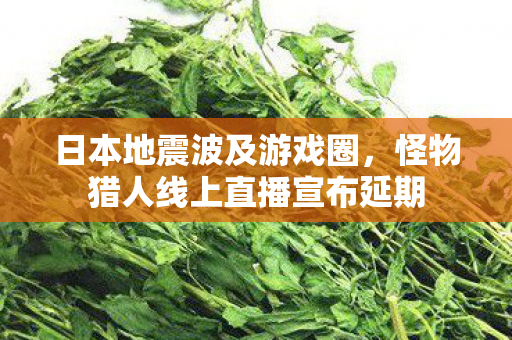日本地震波及游戏圈，怪物猎人线上直播宣布延期