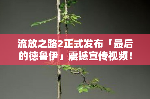 流放之路2正式发布「最后的德鲁伊」震撼宣传视频！