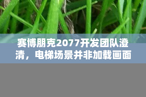 赛博朋克2077开发团队澄清，电梯场景并非加载画面遮罩