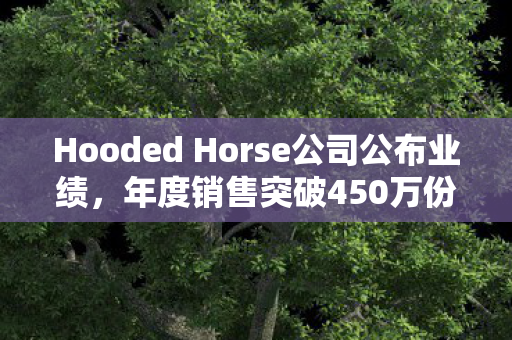 Hooded Horse公司公布业绩，年度销售突破450万份游戏，愿望单累积达850万次