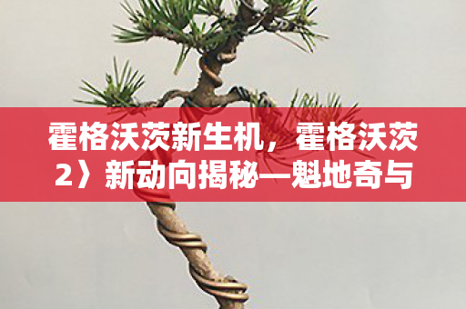 霍格沃茨新生机，霍格沃茨2〉新动向揭秘—魁地奇与PVP模式的引入展望