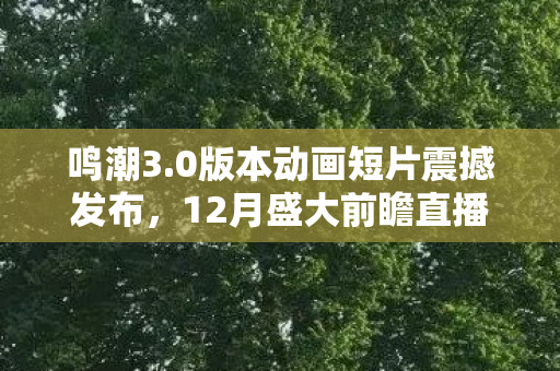鸣潮3.0版本动画短片震撼发布，12月盛大前瞻直播，期待无限！