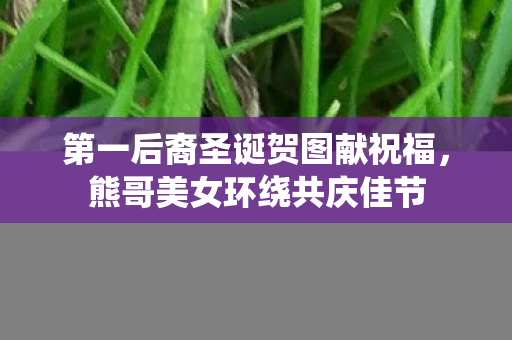 第一后裔圣诞贺图献祝福，熊哥美女环绕共庆佳节