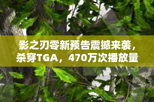 影之刃零新预告震撼来袭，杀穿TGA，470万次播放量登顶！