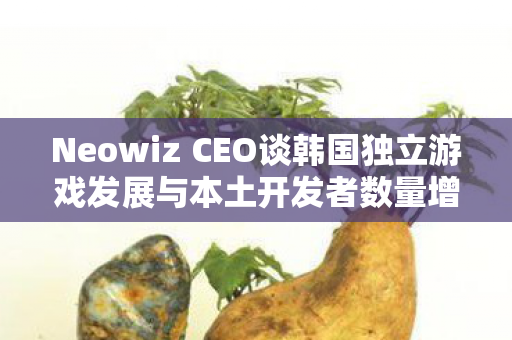 Neowiz CEO谈韩国独立游戏发展与本土开发者数量增长