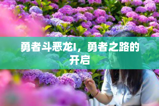 勇者斗恶龙I，勇者之路的开启