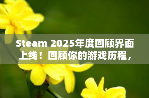 Steam 2025年度回顾界面上线！回顾你的游戏历程，看看这一年你都玩了哪些游戏