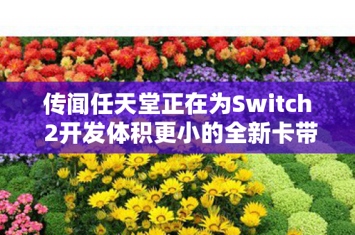 传闻任天堂正在为Switch 2开发体积更小的全新卡带